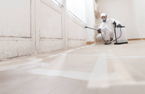 24/7 Emergency Mold Cleanup experts in Boston, VA