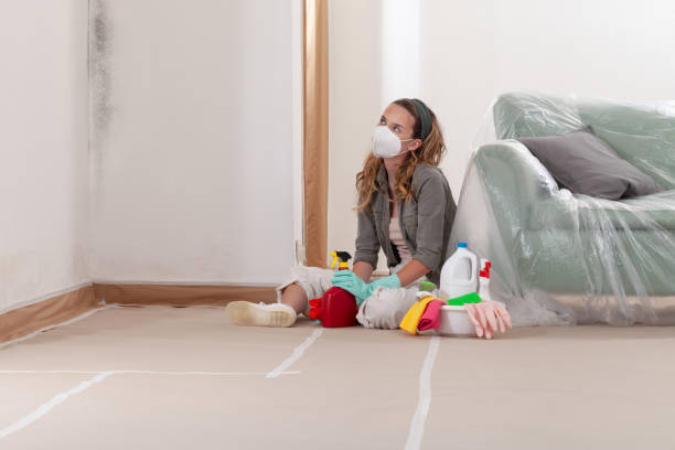 Reliable Mold Cleanup contractor in Boston, VA by Cheap Mold Removal